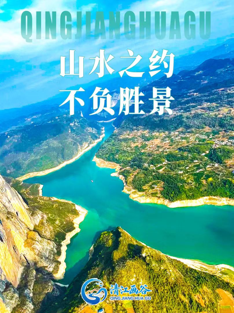 输入图片说明